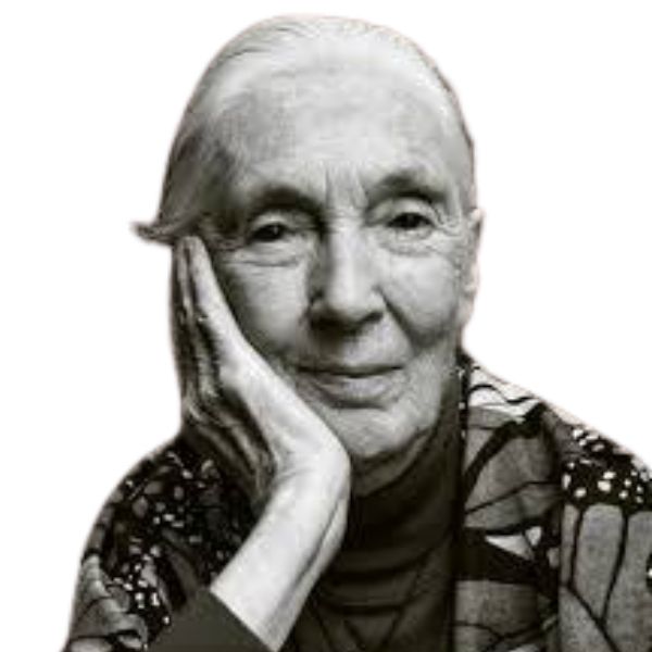 Jane Goodall portrait